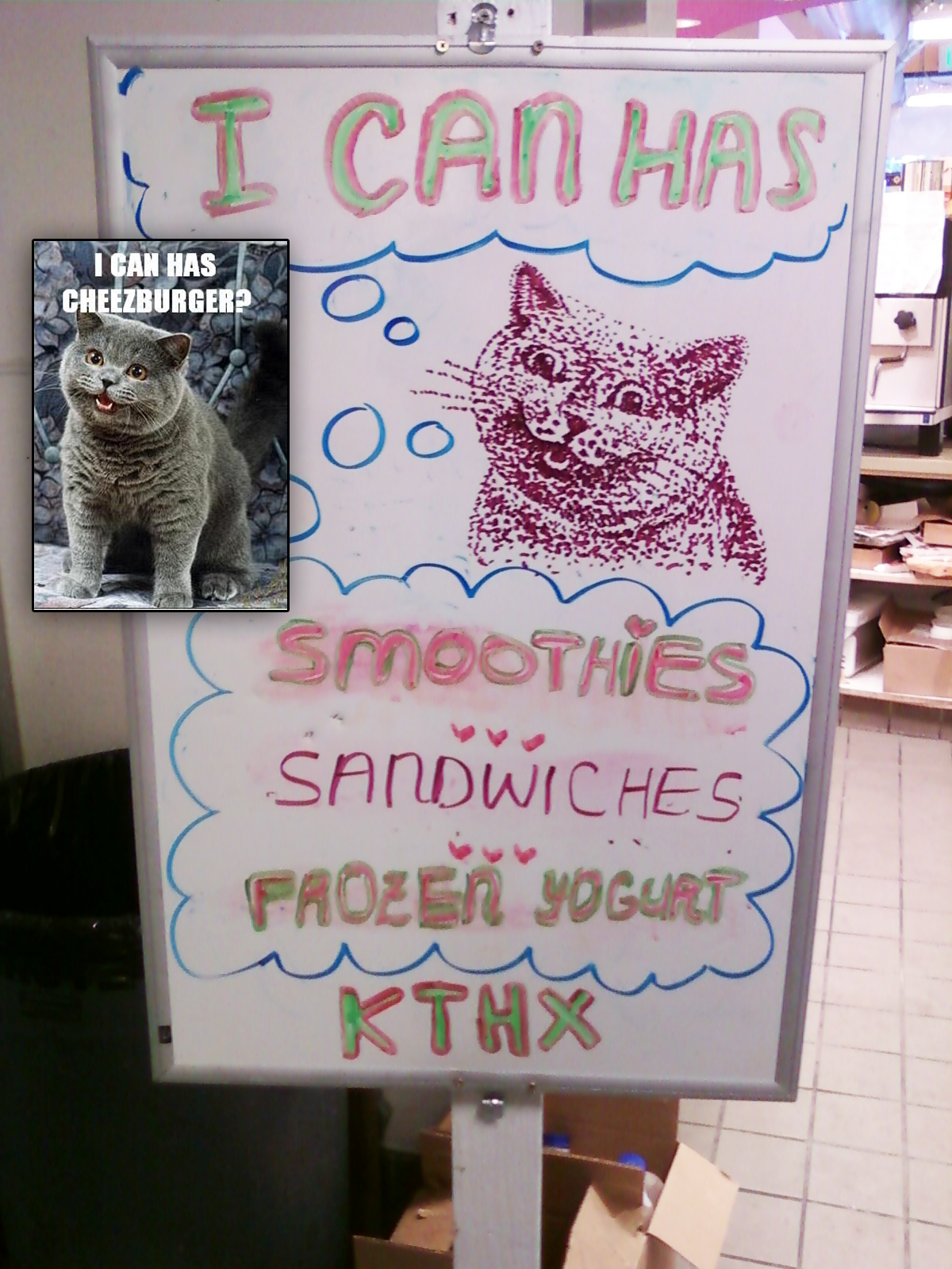 I can has whiteboard art?