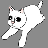 3D Cat Animation